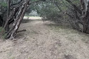 1377 Spring Valley Tr, Whitney, TX 76692 - Photo 1