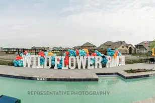 16509 Japanese Maple Dr, Fort Worth, TX 76247 - Photo 30