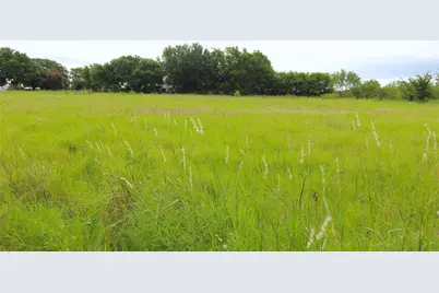 Tbd Cr-4079, Scurry, TX 75158 - Photo 2