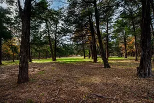 9135 Private Rd 5204, Athens, TX 75751 - Photo 2