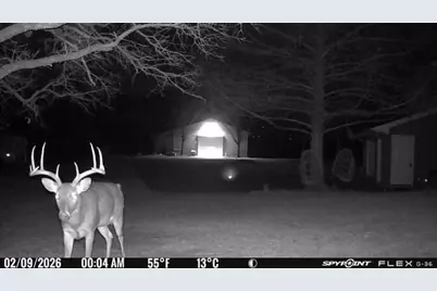 1155 Point Vista Road, Hickory Creek, TX 75065 - Photo 14