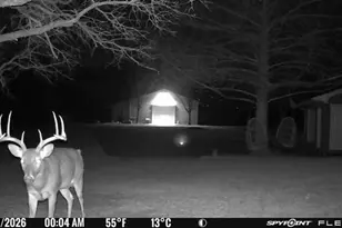 1155 Point Vista Rd, Hickory Creek, TX 75065 - Photo 14