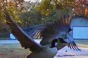 1155 Point Vista Rd, Hickory Creek, TX 75065 - Photo 8