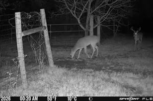 1155 Point Vista Rd, Hickory Creek, TX 75065 - Photo 36