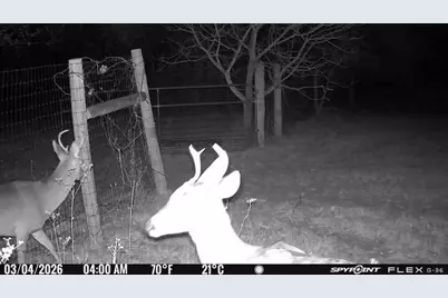 1155 Point Vista Road, Hickory Creek, TX 75065 - Photo 38