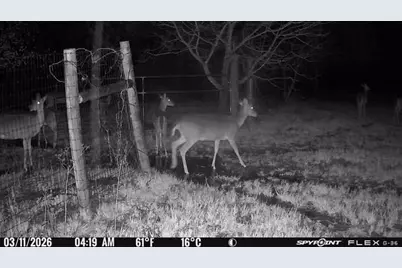 1155 Point Vista Road, Hickory Creek, TX 75065 - Photo 36