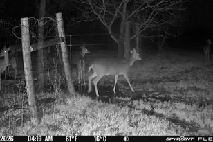 1155 Point Vista Rd, Hickory Creek, TX 75065 - Photo 36