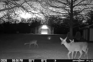 1155 Point Vista Rd, Hickory Creek, TX 75065 - Photo 18