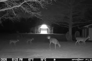 1155 Point Vista Rd, Hickory Creek, TX 75065 - Photo 12