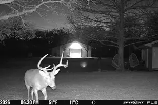 1155 Point Vista Rd, Hickory Creek, TX 75065 - Photo 10