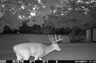 1155 Point Vista Rd, Hickory Creek, TX 75065 - Photo 16