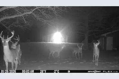 1155 Point Vista Road, Hickory Creek, TX 75065 - Photo 16