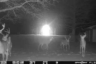 1155 Point Vista Rd, Hickory Creek, TX 75065 - Photo 16