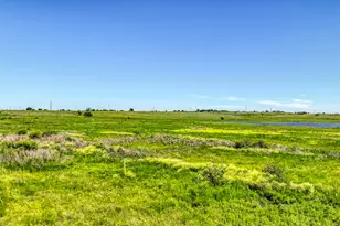 Courtland 4 County Road 1232, Godley, TX 76044 - Photo 6