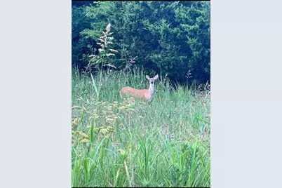 2112 Benjamin Creek Drive, Little Elm, TX 75068 - Photo 38