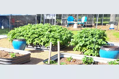 210 Davis Road, Granbury, TX 76049 - Photo 24