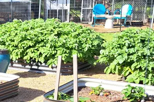 210 Davis Rd, Granbury, TX 76049 - Photo 24