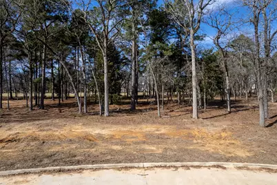 Lot 12 Deer Lake Lane, Bullard, TX 75757 - Photo 10