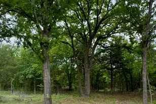 Tbd 4 Slate Rock Rd, Ennis, TX 75119 - Photo 28