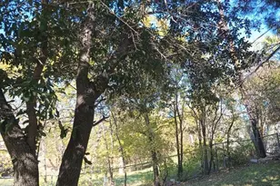 3517 Wicklow Ct, Fort Worth, TX 76116 - Photo 28