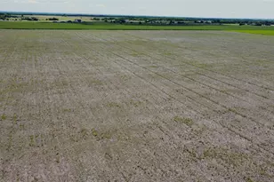 Lot 1 Cr 204, Grandview, TX 76050 - Photo 1