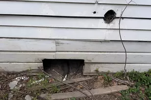 1418 E Overton Rd, Dallas, TX 75216 - Photo 6