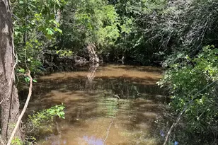 2002 Co Rd 906, Princeton, TX 75407 - Photo 8