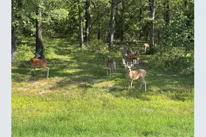 Lot 71 Anchor, Quinlan, TX 75474 - Photo 4