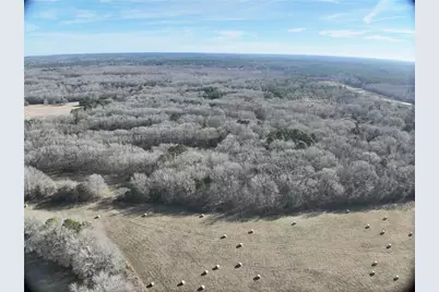 Tbd County Road 3170, Quitman, TX 75783 - Photo 14