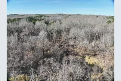 Tbd County Road 3170, Quitman, TX 75783 - Photo 12