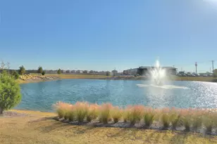 14004 Birch Farm Dr, Pilot Point, TX 76258 - Photo 22