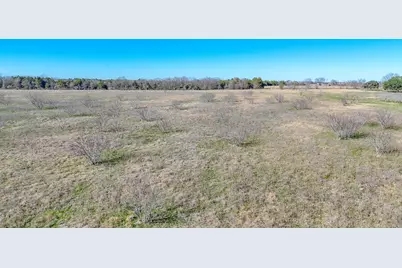 Lot 8 NE Cr 2160, Kerens, TX 75144 - Photo 6