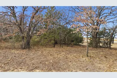 Tbd Dps Tower, Perrin, TX 76486 - Photo 12