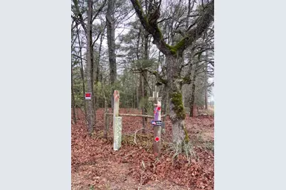 2529 Cr 3540, Hawkins, TX 75765 - Photo 6