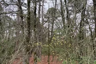 2529 Co Rd 3540, Hawkins, TX 75765 - Photo 1