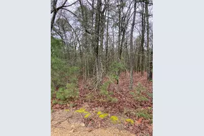 2529 Cr 3540, Hawkins, TX 75765 - Photo 2