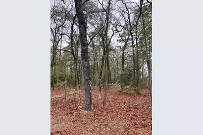 2529 Cr 3540, Hawkins, TX 75765 - Photo 16