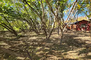 2518 Laney Rd, Denton, TX 76208 - Photo 20