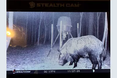 11501 Waterbuck Road, Winnsboro, TX 75494 - Photo 20