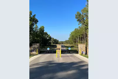 3145 Shadow Pine Drive, LaRue, TX 75770 - Photo 6