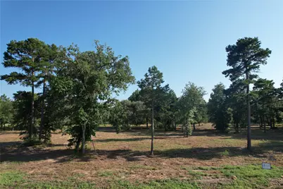 3145 Shadow Pine Drive, LaRue, TX 75770 - Photo 2