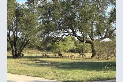 310 County Road 611, Brownwood, TX 76801 - Photo 4