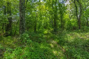 2135 Co Rd 3520, Quinlan, TX 75474 - Photo 36