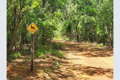 20169 County Road 445, Lindale, TX 75771 - Photo 4