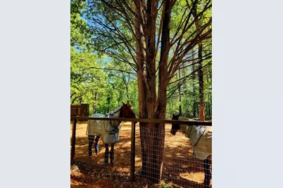 20169 County Road 445, Lindale, TX 75771 - Photo 10