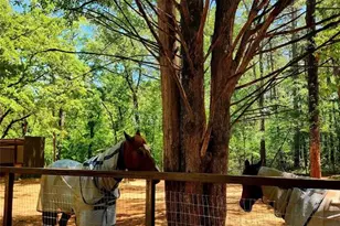 20169 County Rd 445, Lindale, TX 75771 - Photo 10