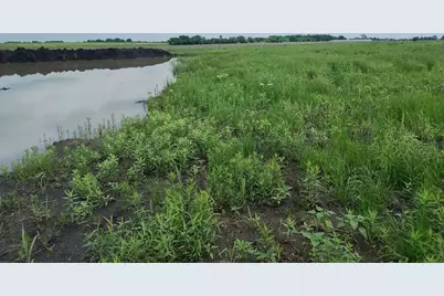 4225 County Road, Cooper, TX 75432 - Photo 1