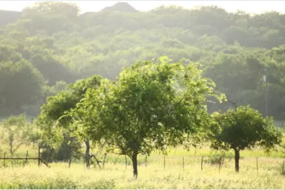 T B D Hayes Road, Mineral Wells, TX 76067 - Photo 2