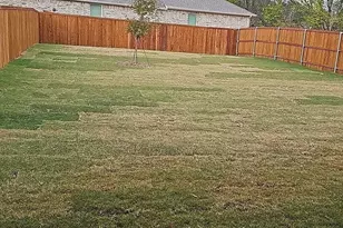 3817 Ablon Trail, Garland, TX 75043 - Photo 28