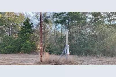 1191 County Road 2420, Pickton, TX 75471 - Photo 8